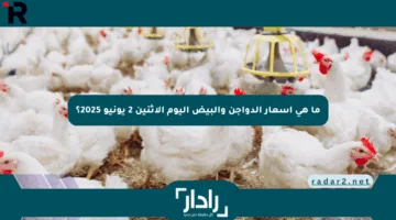 ما هي أسعار الدواجن والبيض اليوم الاثنين 2 يونيو 2025؟